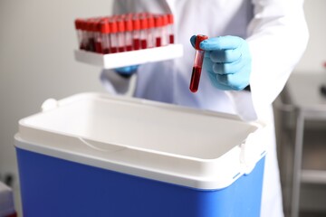 Laboratory worker putting test tube with blood sample into cool box in clinic, closeup