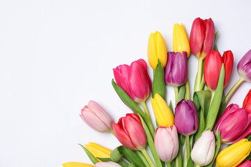 Beautiful colorful tulip flowers on white background, flat lay. Space for text