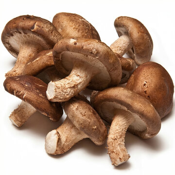 Shitake Mushroom