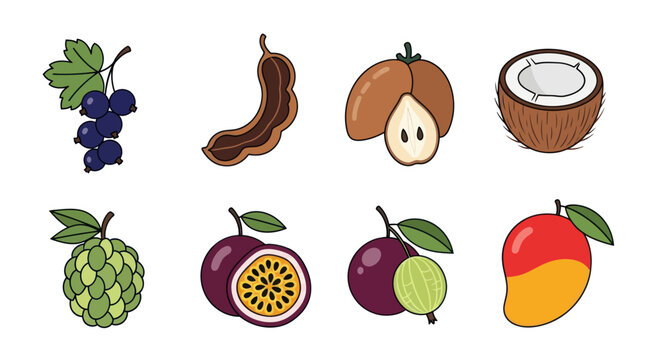 Assorted tropical fruit illustrations on white