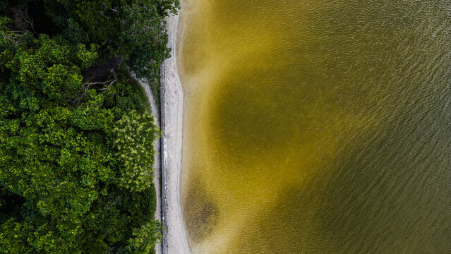 Lake Atlantic Forest Island Tropical Lagoon Freshwater Landscape Nature Summer Vacation Leisure Travel Destination Florianopolis Santa Catarina Brazil South America Scenic Water Paradise Outdoor Touri