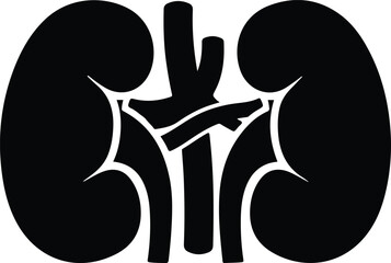 Silhouette of human kidneys with arteries and veins vector illustration