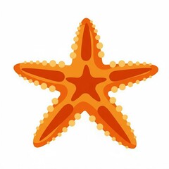 starfish illustration 