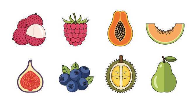 Colorful fruits vector illustrations