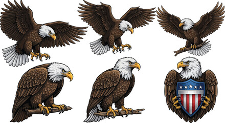 Naklejka premium Several illustrations depict bald eagles in various poses, including perched and wings spread, alongside a shield emblem.