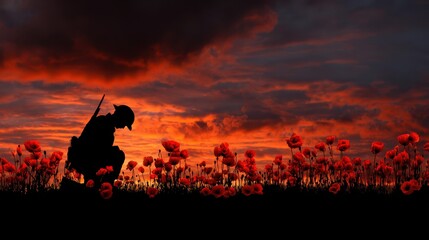 Silhouette Soldier Kneeling in Red Poppy Field at Dramatic Sunset