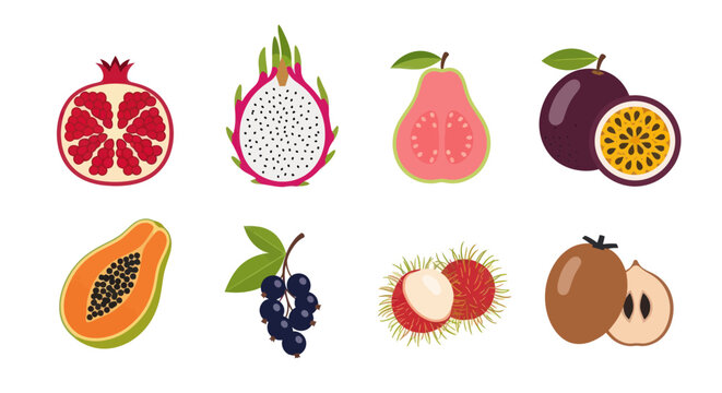 Colorful tropical fruits collection illustration