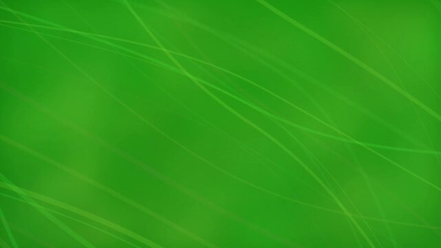 Green Leaf Texture Background Closeup.
