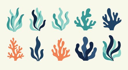Coral Reef Elements