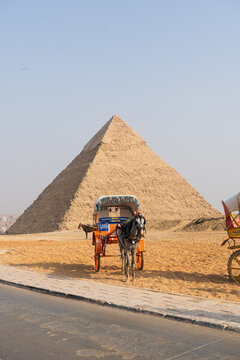 Traditional horse carriage in front of ancient Egyptian pyramid