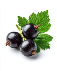 Fresh organic black currant berries with green leaves isolated on a white background, macro shot of ripe nutritious summer garden fruits for healthy eating, food packaging, and botanical design