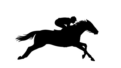 Fast horse racing with jockey silhouette © Andgnwn