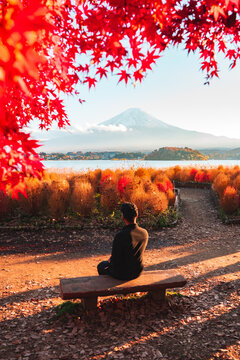 Person sitting with Mount Fuji view framed by red autumn leaves