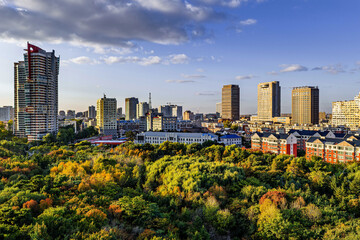 Obraz premium Autumn Scenery of Changchun City, China