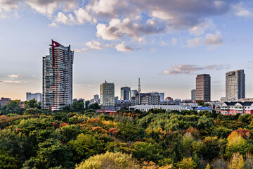 Fototapeta premium Autumn Scenery of Changchun City, China