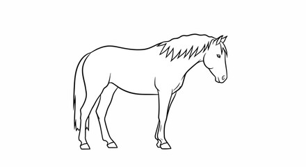 Fototapeta premium Simple Line Drawing of a Horse