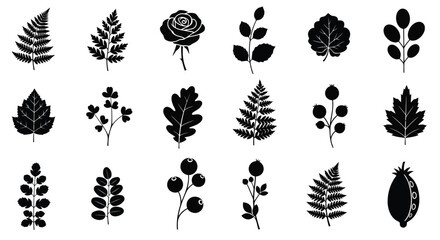 A diverse collection of black and white tree silhouettes showcasing various leaf shapes and sizes © Raju