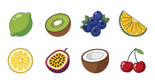 Assorted colorful fresh fruit illustrations
