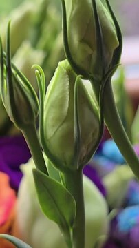 bouquet of roses in flower shop for delivery service. Vertical floral composition for gift, celebration, birthday. Retail concept of express flower delivery, florist business, holiday promotion