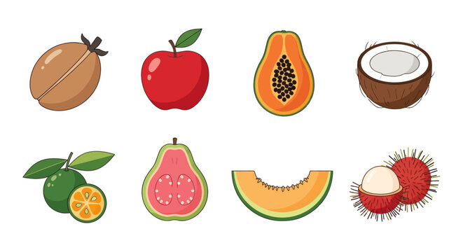 Assortment of fresh fruits illustration