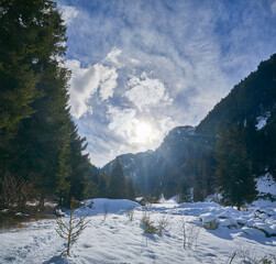 Beautiful winter hike in the Hollersbach Valley, in the Salzburg region near Bramberg, Austria.