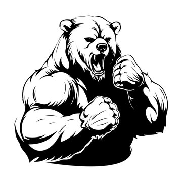 Bear Gym