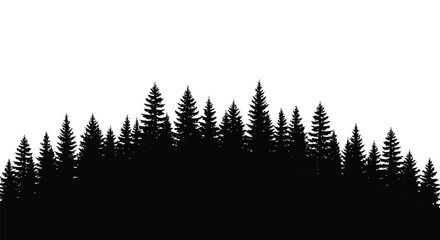 Dark forest of coniferous trees against a bright white background silhouette © MdGolam