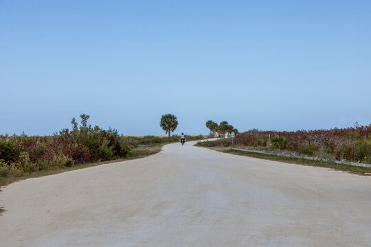 A serene drive through Black Point Wildlife Drive shows off Florida's natural beauty, perfect for adventure and exploration.