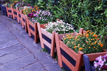花壇に植えられたカラフルな小さな花