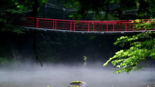 赤い橋と透明度の高い清流の風景
「橋を渡れば、そこは別世界。名水が誘う、癒やしの聖域。」
熊本県菊池市(菊池渓谷)
A red bridge and a crystal clear stream. "Cross the bridge and you'll enter another world. A healing sanctuary beckoned by the renowned water.