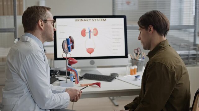 Indoor eye level side view medium shot of urologist explaining urinary system anatomy to patient during medical appointment, doctor using kidney anatomical model for education in modern clinic office