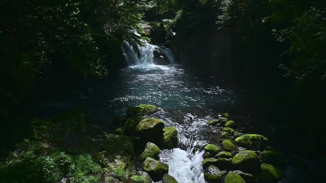 暗い岩壁を流れる原生林が育む聖域、苔むした岩と清らかな水の流れ
「深呼吸の、その先へ。命が潤う、源流。」
熊本県菊池市(菊池渓谷)
A sacred place nurtured by a primeval forest, moss-covered rocks, and pure water flowing through dark cliffs.
