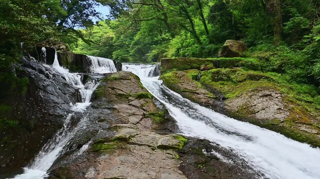 岩肌を流れる滝と新緑の風景、清流のマイナスイオン溢れる水辺の風景
「岩を刻み、緑を潤す。名水が奏でる、一筋の力強さ。」
熊本県菊池市(菊池渓谷)
A waterfall flowing down the rock face, fresh greenery, and a clear stream overflowing with negative ions.