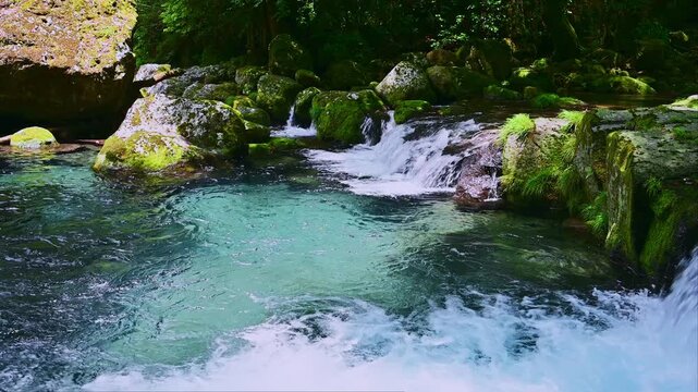 水、透きとおる。
「水の音しか聞こえない、贅沢なひととき。」
熊本県菊池市(菊池渓谷)
The water is crystal clear.
"A luxurious moment where the only sound you can hear is the sound of water."
Kikuchi City, Kumamoto Prefecture (Kikuchi Valley)