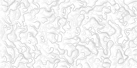 Fototapeta premium Gray abstract topographic map contours on white background_1