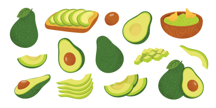 Avocado set with whole fruit, half with seed, slices, wedges and cubes. Collection of fresh green avocado  for healthy food, vegan recipes. Flat vector illustration isolated on white background.