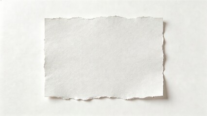 Fototapeta premium Torn piece of white paper