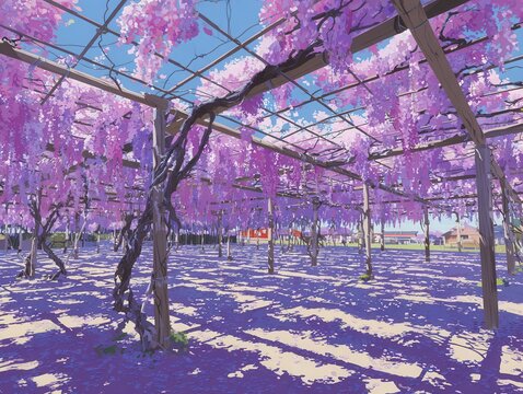 P&eacute;rgola coberta por exuberantes flores de glic&iacute;nia roxas sob um c&eacute;u azul claro em um dia ensolarado.