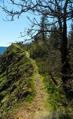Fototapeta premium Hamilton Mountain Trail, trailhead in Beacon Rock State Park, Washington State