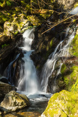Obraz premium Hamilton Mountain Trail, trailhead in Beacon Rock State Park, Washington State