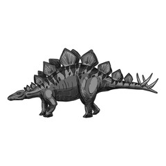 Stegosaurus Dinosaur Illustration Isolated on White Background © Wiwit