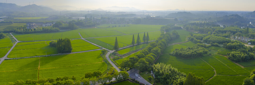 Yuhang Countryside Aerial View with Winding Roads and Green Fields