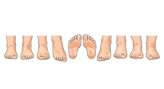 Illustration of a row of eight cartoon human feet with different toe positions