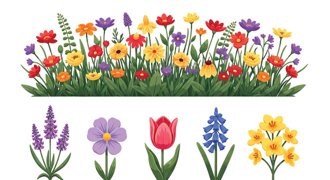 Illustration of colorful floral border with assorted flowers and individual blooms