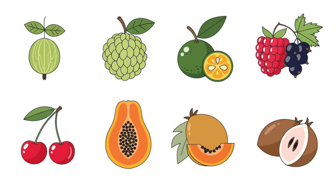 Assorted colorful fruits illustration