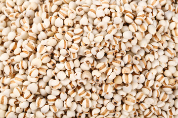 Naklejka premium Job's Tears Grains Close-up - Traditional Asian Cooking Ingredient for Porridge and Healthy Recipes