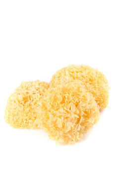 Dried White Fungus Mushrooms Healthy Asian Cooking Ingredient on White Background