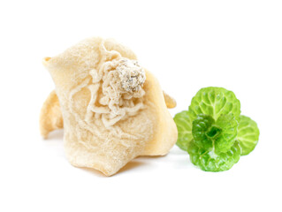 Gutta Percha Natural Ingredient with Fresh Mint Leaf - Healthy Organic Material for Traditional Medicine © TranVan