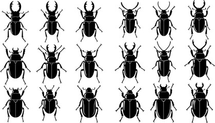 Set of black beetle insect silhouettes, detailed vector illustration collection showing different beetle species shapes, isolated on white background for design use © Sarsoti