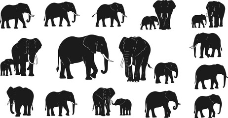 Set of elephant silhouettes in multiple poses, black African elephant family vector collection for wildlife design, logo, icon, illustration use © Sarsoti